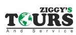 Ziggy_logo2